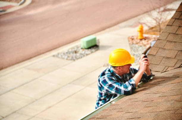 Best Roof Gutter Cleaning  in Raynham Center, MA